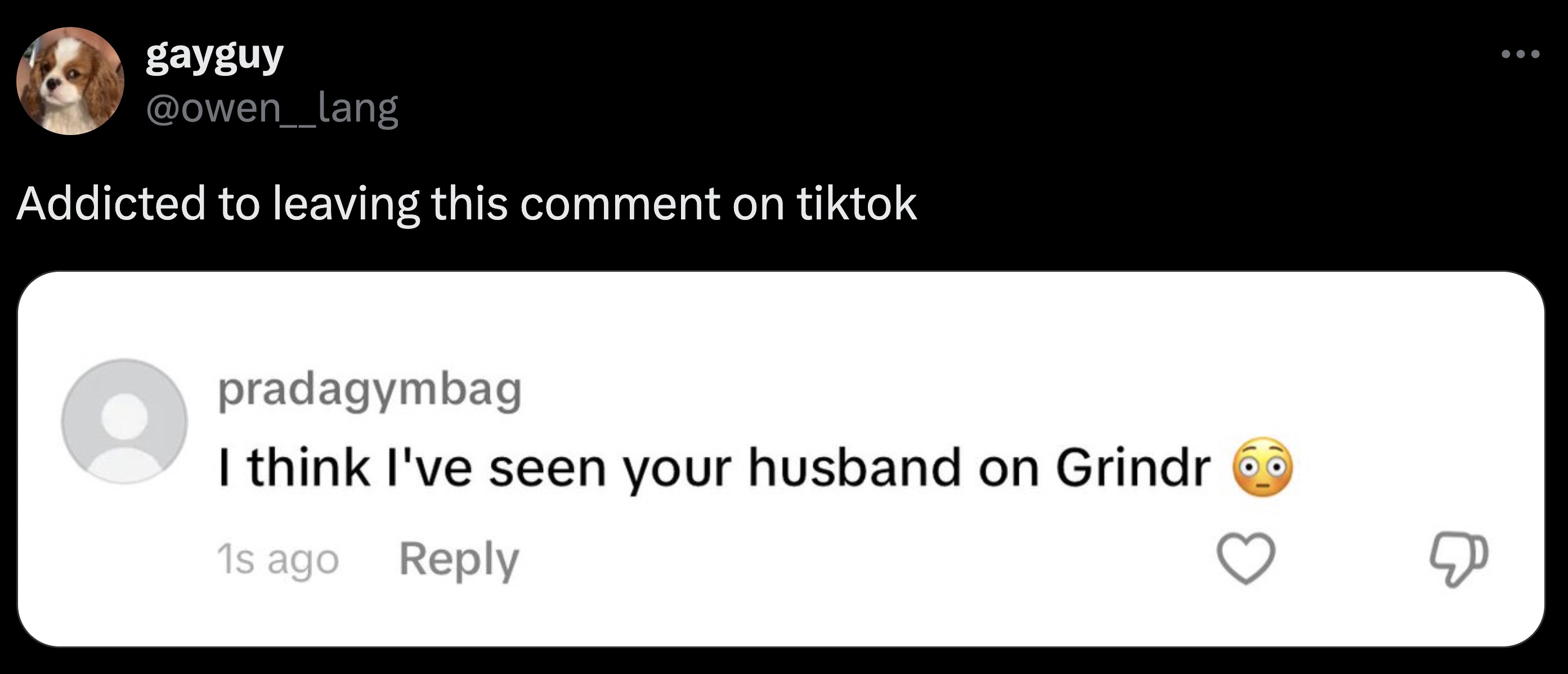 screenshot - gayguy Addicted to leaving this comment on tiktok pradagymbag I think I've seen your husband on Grindr 1s ago